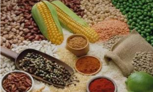 到2020年山东省调减500万亩玉米 重点发展豆类.