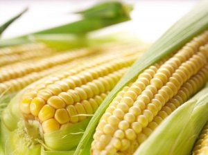 市场供大于求，玉米逆市涨价为哪般？