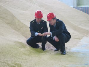 泰州地区出口豆粕达5300万美元创新高