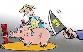 【新闻点评】南京全市六成土地被划定为禁养区 大量猪场面临退出行业风险