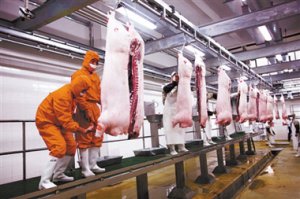 2017年第1周畜禽产品价格监测报告