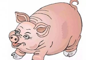 猪价小幅上涨，不过是套路，预测一周后猪