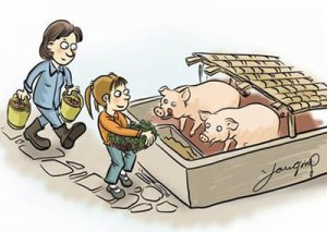 家庭养猪行业上半年形势总结及下半年期许