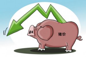 冯永辉：供给端压力减小，猪价近期上涨乏力，有下跌可能（9.12）