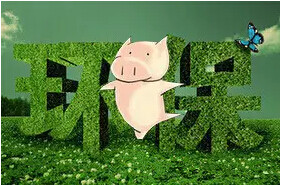 环保高压下，2500头母猪的猪场将增加多少