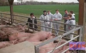 关于养猪场排污，德国养猪场如何“善后”？