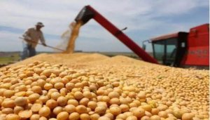 豆粕价格大幅上涨！加征关税国内大豆进口