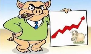 多地猪价直涨4毛，养殖户高兴之余是否担心还能涨多久？