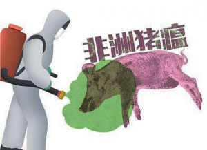 哪些地区和养殖场户需要重点关注非洲猪瘟