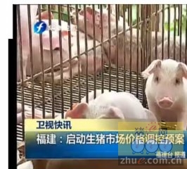 福建：启动生猪市场价格调控预案