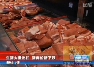 生猪大量出栏 猪肉价格下跌