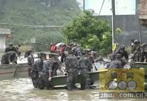 广西：养殖场被淹 一万多头生猪被淹死