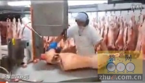 视频: 这工作一个月多少钱你敢干？看猪肉分割在肉联加工厂