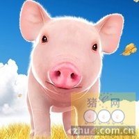 1月14日安徽省猪市行情信息