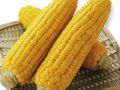 8月2日料评：新玉米将逐渐转入主角，短期连豆粕围绕2900波动