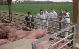 关于猪场排污，德国养猪场如何“善后”?