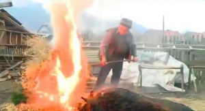 俄罗斯处理猪太特别，500斤的大肥猪直接用火烤，再用盐粒子搓