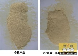 真假黄芪多糖粉的鉴别方法（一）