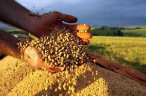 中国进口俄罗斯巴西大豆增长超一倍，豆粕持续半个月回落