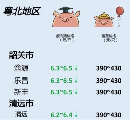 猪价 | 7月17日 广东