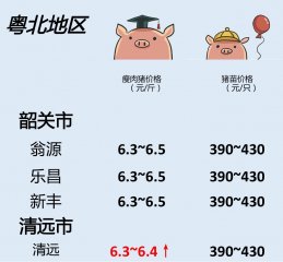 猪价 | 7月20日广东生猪行情动态一览！