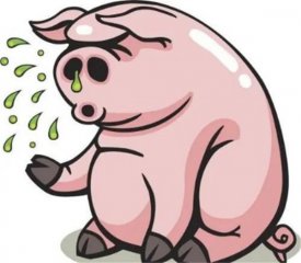 春季来临，猪场猪流感、寄生虫防控工作重点有哪些？