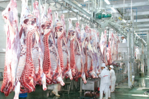 江西柴桑区农业农村局对生猪屠宰企业进行安全生产大排查