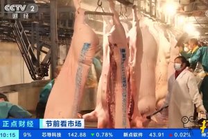 重庆：保供稳价，多措施保障节日猪肉市场供应
