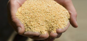 豆粕最高降1050元/吨，畜禽料开始降价了，水产料何时才能降价？
