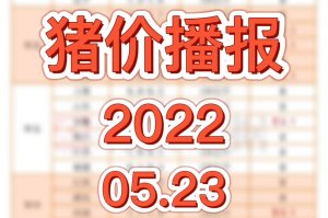 5月23日猪价：上涨0.04元/公斤，预计明日稳中伴涨