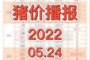5月24日猪价：上涨0.05元/公斤，预计明日继续稳中伴涨