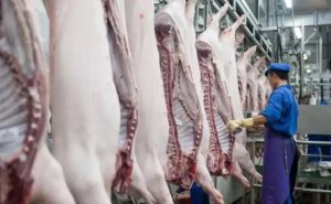 山东枣庄取消全市共21家小型屠宰点取消生猪定点屠宰资格