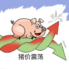 猪价季节性回升与市场震荡叠加 或强化近期养殖股逻辑的演绎