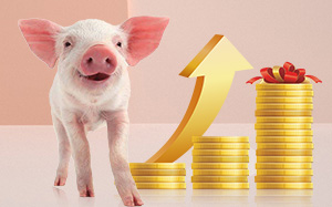 山东济宁：近期生猪价格涨势不减